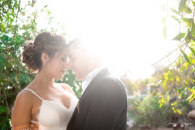 Bodas
